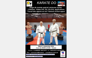 Stage pour ceintures noires gratuit